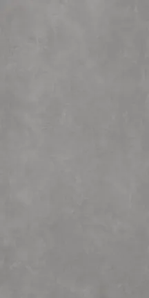 Фото №0 Плитка из керамогранита Simpolo Simpolo 120х278 серый (MPL-060878)