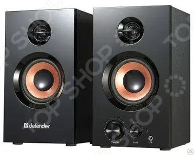 фото Колонки Defender AURORA S20