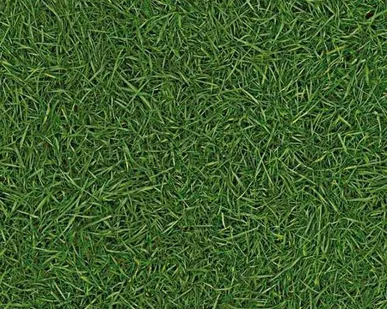 фото Линолеум коммерческий IVC VISION Grass T25, 3м