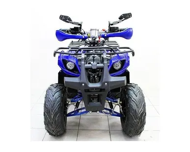 фото Квадроцикл TERMIT LIBRE ATM