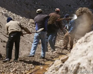фото Землекопы