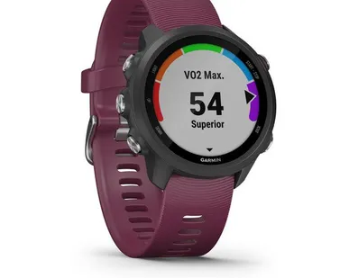фото Часы Garmin Forerunner 245 черные с вишневым ремешком