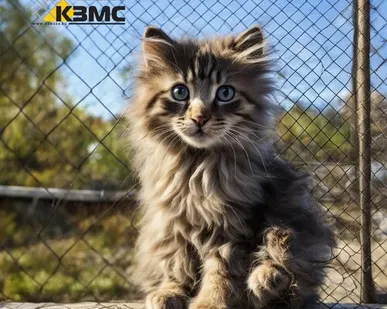 фото Сетка рабица Ø 1,6х(10х10) размер рулона 1х10 метров