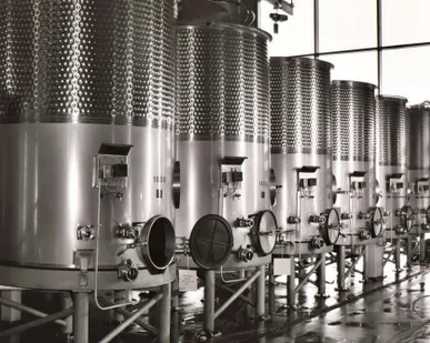 фото Ёмкость для медицинской промышленности