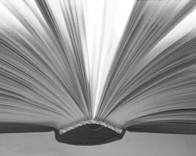 фото Печать книг