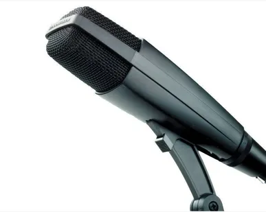 фото Sennheiser MD 421-II, вокальный микрофон