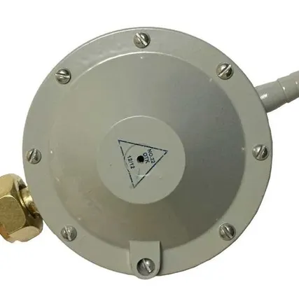 Фото №0 Регулятор давления РДСГ-1-1,2 (лягушка)