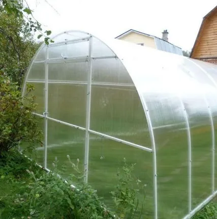 Фото №0 Теплица Дачница