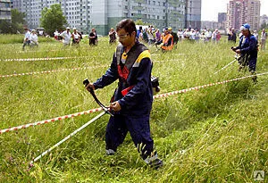 фото Косьба травы город