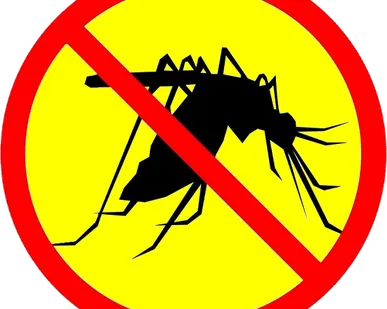 фото Помощь в выведении комаров на участке и даче -