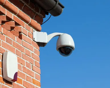 фото Установка систем видеонаблюдения в вашем саду