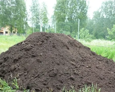 фото Грунт