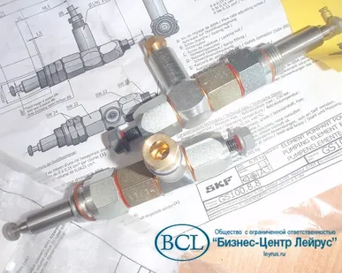 фото Насосный элемент дозатор SkF GS100.8.8 pumping element for gsjb gse