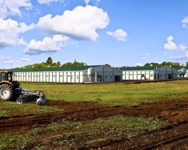 фото Строительство птичников