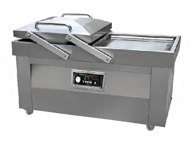 фото Вакуумный упаковщик DZQ-600/2SD Eco