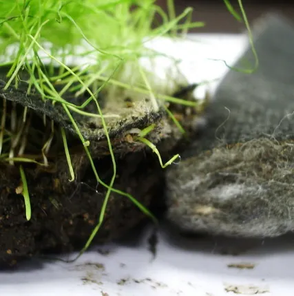 Фото №0 Биомат Арнит-Н