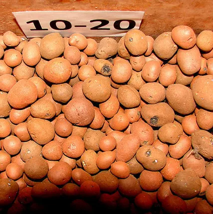 Фото №0 Керамзит фракции 10-20