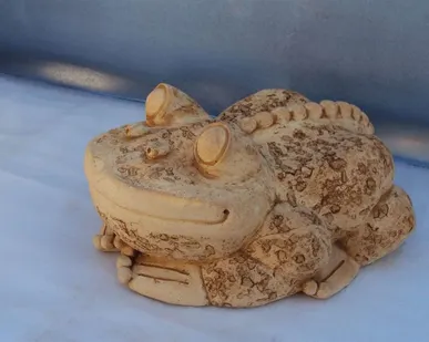 фото Лягушка 30/40