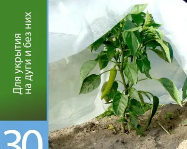 фото Агроволокно белое 30 UV (3,2х10м) 32м2, АГРОТЕКС