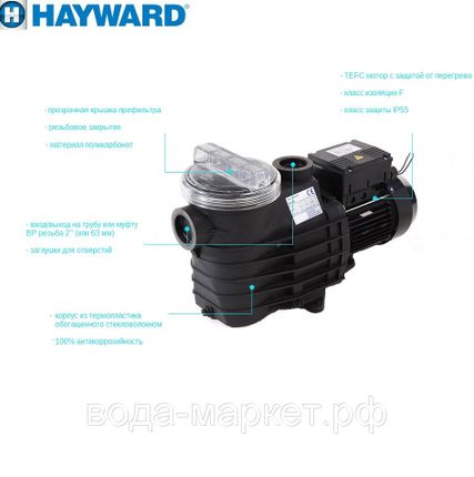 Фото №3 Насос Hayward SP2507XE111 EP75 (220V, 0,75HP)