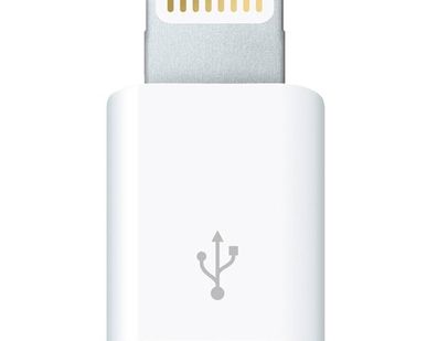 фото Разъем Apple microUSB -