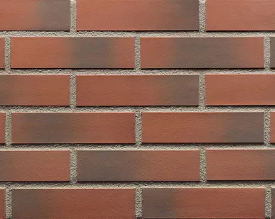 фото Клинкерная плитка KING KLINKER Dream House 05 The secret garden RF10, 250*65*10 мм