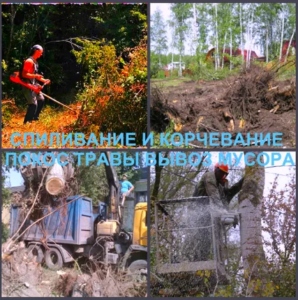 Фото №1 Земляные работы и благоустройство Воронеж.