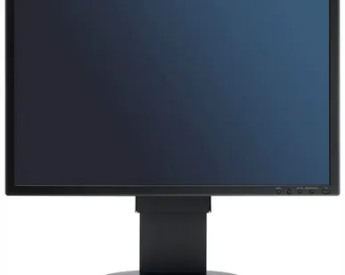фото Монитор NEC MultiSync EA221WMe