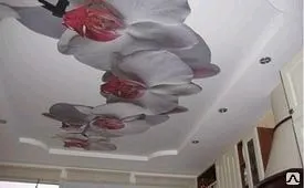 фото Натяжные потолки с рисунком