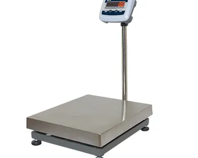 фото Весы электронные напольные MAS PM1E-100-4560