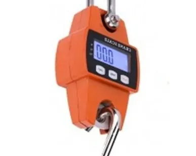 фото Крановые весы OCS-L 100кг электронные TOR