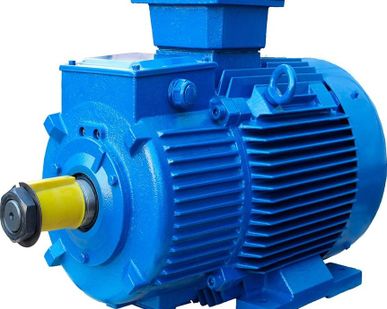 фото Электродвигатель 4MTM 200 LB8