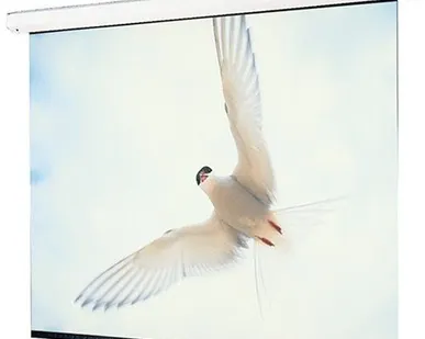 фото Экран Targa NTSC (3:4) 244/96" (8') 152*203 MW (XT1000E)