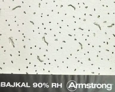 фото Потолочная плита Армстронг Байкал (Bajkal) 600х600х12 (кромка Board)