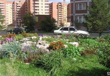 фото Ландшафтный дизайн