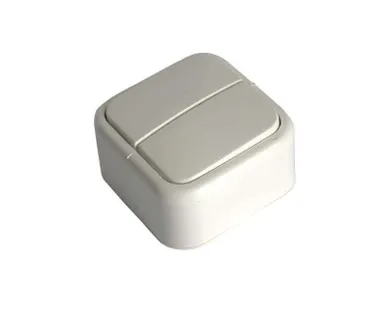 фото Выключатель 2-кл. ОП 10А IP44 бел. БЕЛТИЗ А5 10-001