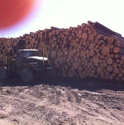 Фото №0 Круглый лес