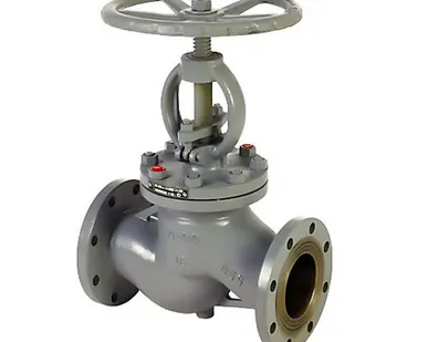 фото Клапан 16ч42р Ру 2,5, T 50оС приемный, с сеткой, 300 мм