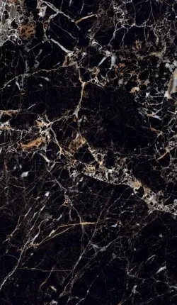 Фото №0 керамогранит torino black 120*60