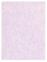 фото Гипсовинил (ВИНАЛ) Durafort_2877