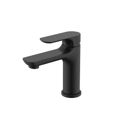 Фото №0 Смеситель для раковины Raglo R03.10.06, цвет: черный