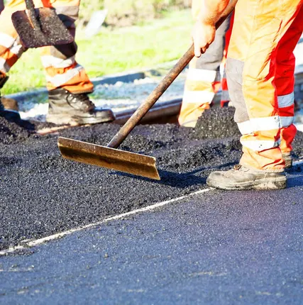 Фото №0 Дорожная сетка Рокмеш 50х50