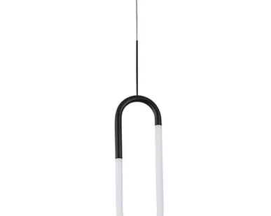 фото Подвесной светильник Arte lamp LUMINO A2233SP-20BK