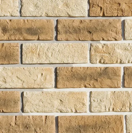 Фото №0 Фасадный Кирпич Гулливер