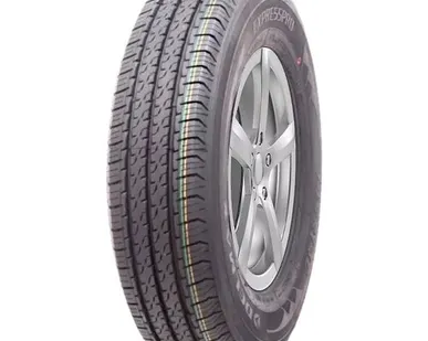 фото Автомобильная шина Delmax