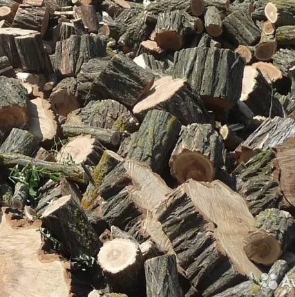 Фото №0 Дрова яблоня, черешня