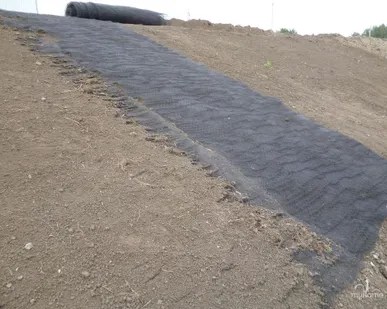 фото Геомат