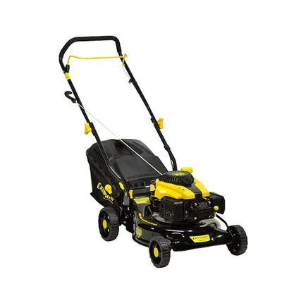 Фото №0 Газонокосилка бензиновая Champion LM 4215