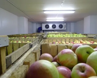 фото Фруктохранилище