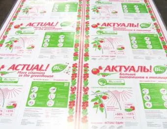 фото Сотовый поликарбонат 2100х6000х4мм (прозрачный) АктуальBIO СафПласт, 0,6кг/м2